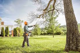  Groveport, OH Tree Services Pros